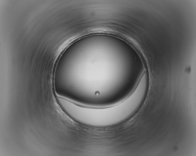 X0000114991330200911091326
