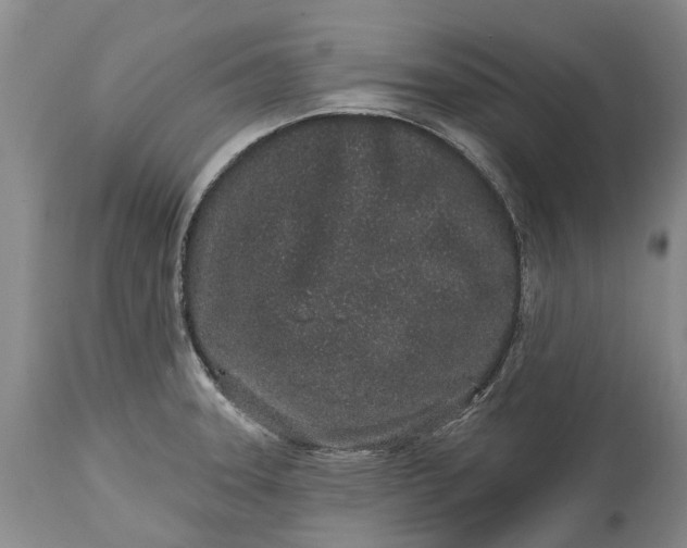 X0000114991331200911091326