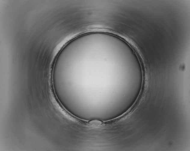 X0000114991333200911091326