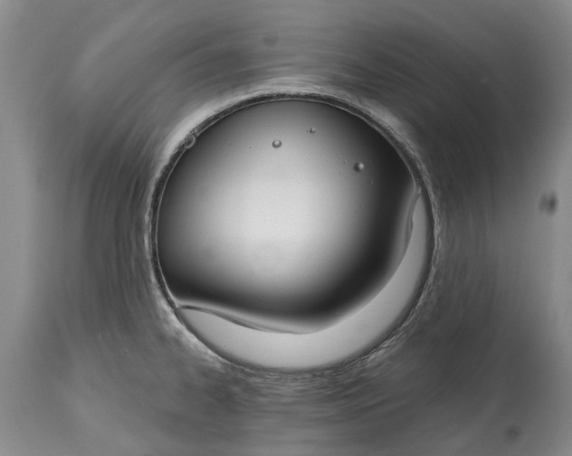 X0000114991334200911091326