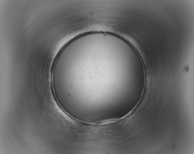 X0000114991335200911091326