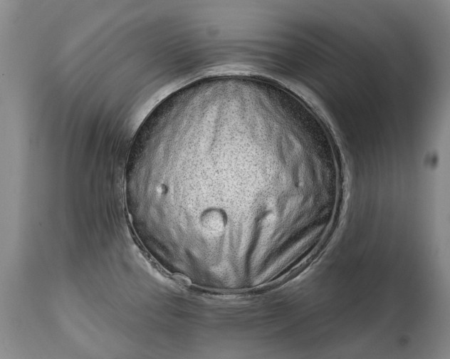 X0000114991337200911091326