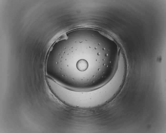 X0000114991338200911091326