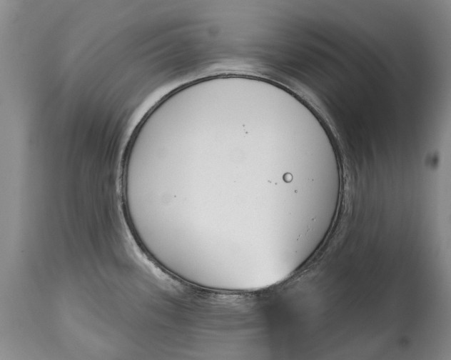 X0000114991339200911091326