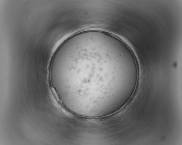 X0000114991341200911091326