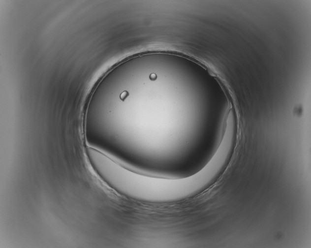 X0000114991342200911091326