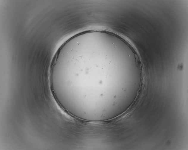 X0000114991343200911091326
