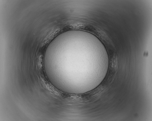 X0000114991346200911091325