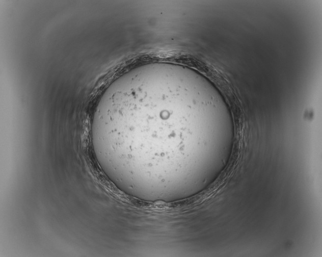 X0000114991349200911091325