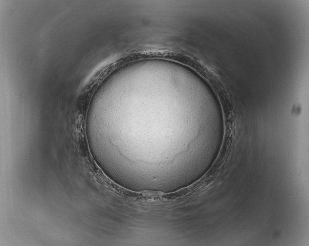 X0000114991351200911091325