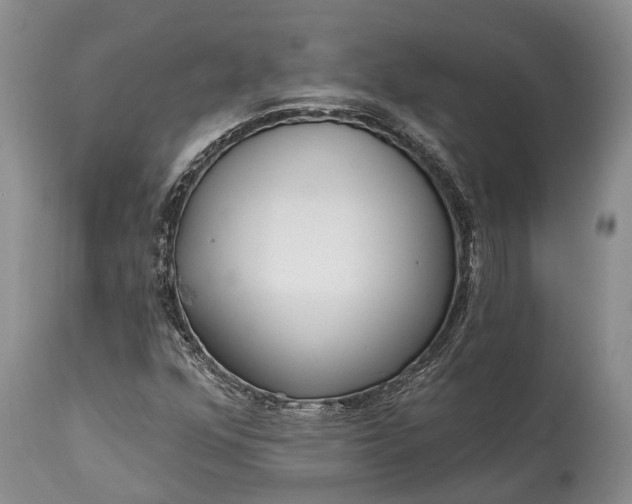 X0000114991352200911091325