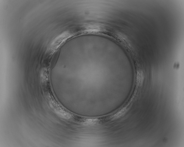 X0000114991353200911091325