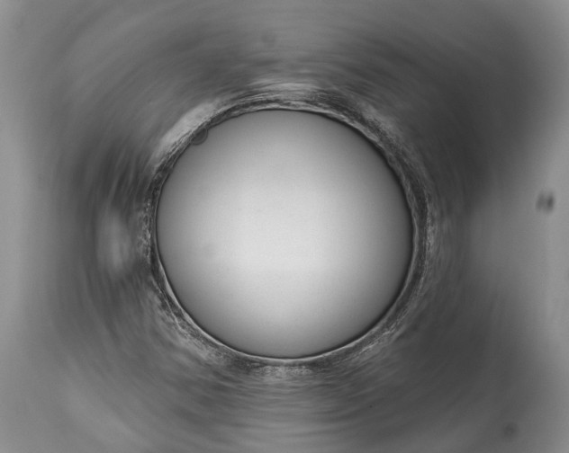X0000114991354200911091325
