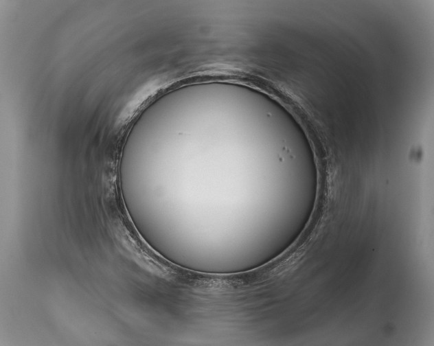 X0000114991355200911091325