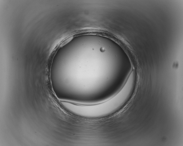 X0000114991357200911091325