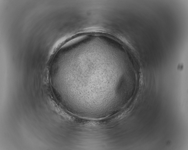 X0000114991358200911091325