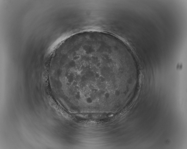 X0000114991359200911091325