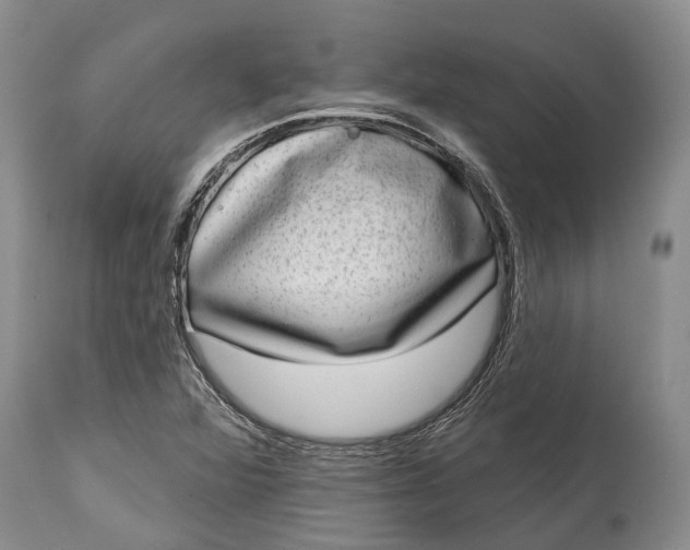 X0000114991360200911091325