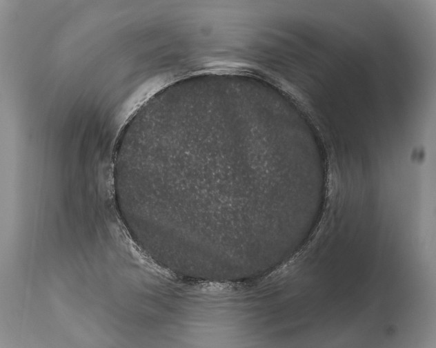 X0000114991362200911091325
