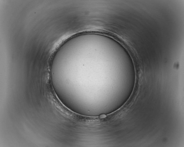 X0000114991363200911091325