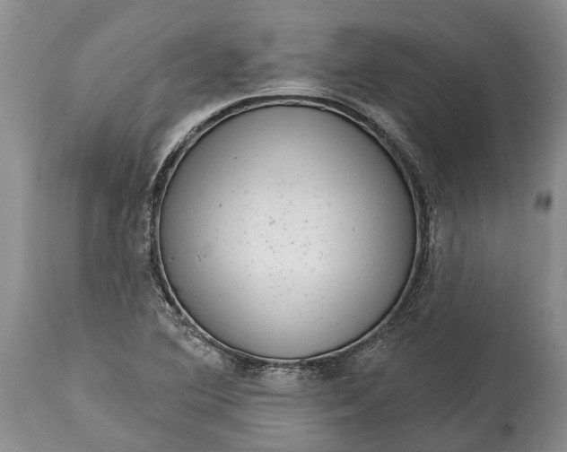 X0000114991364200911091325