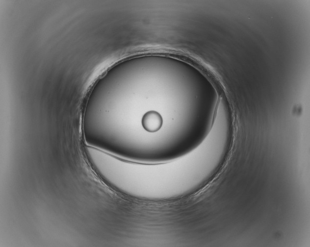 X0000114991365200911091325