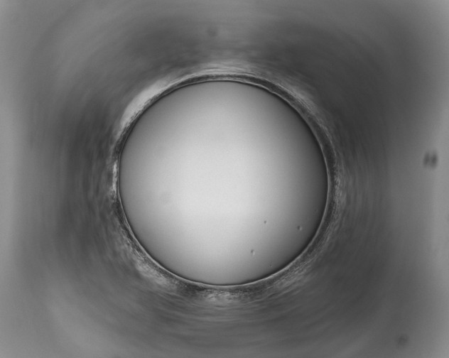 X0000114991366200911091325