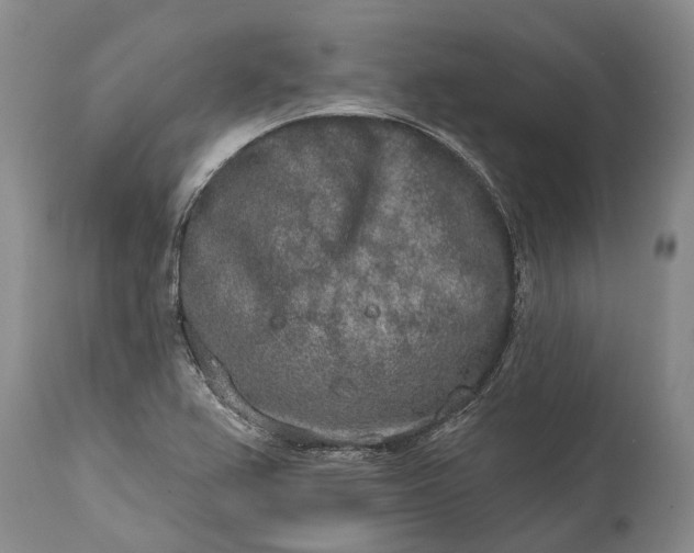X0000114991367200911091325