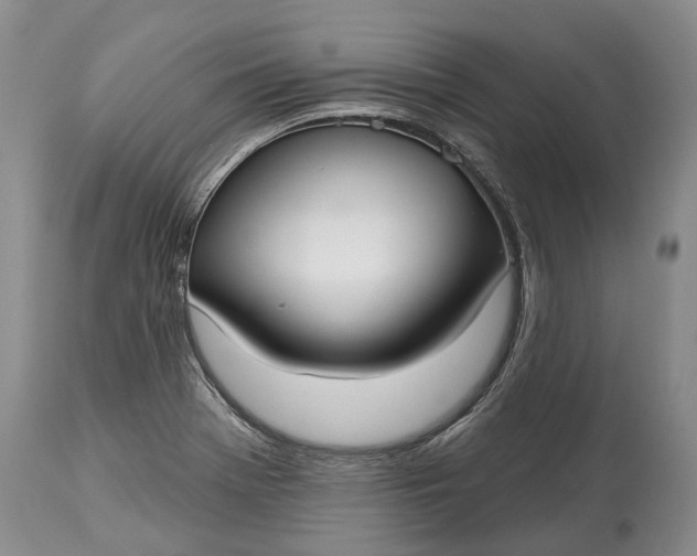 X0000114991369200911091325