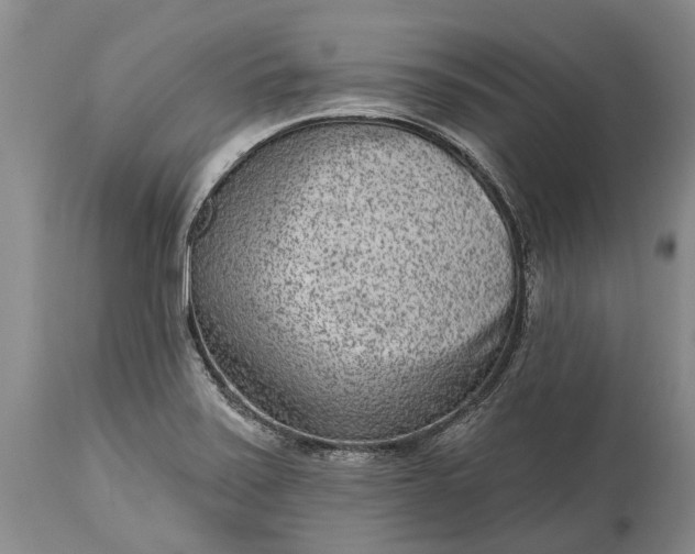 X0000114991371200911091325