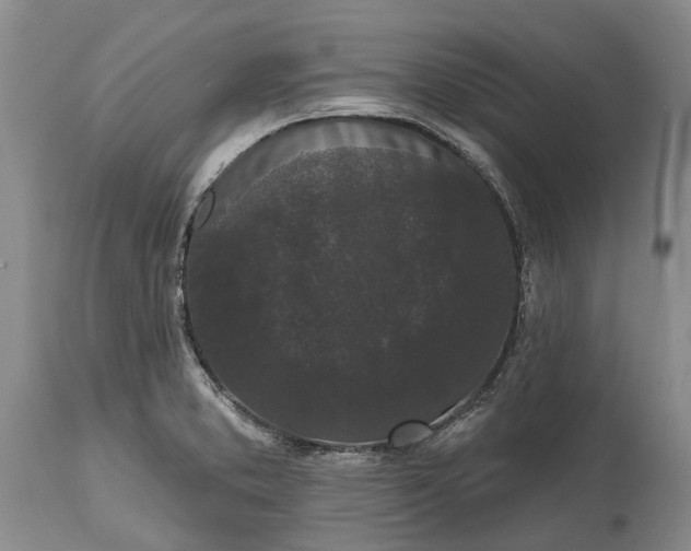 X0000114991373200911091325