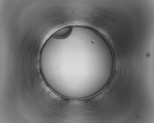 X0000114991374200911091325