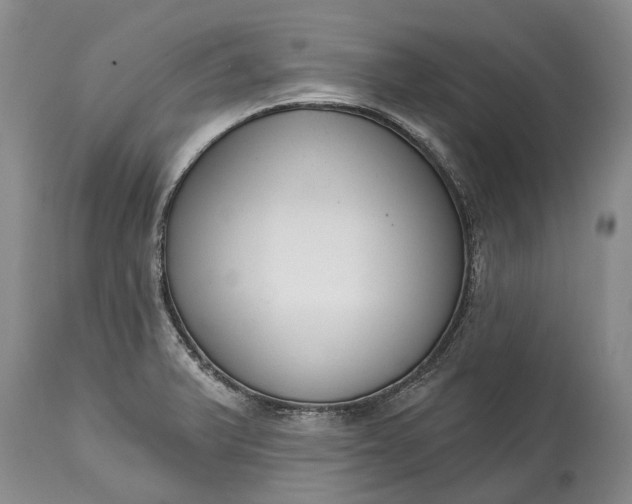 X0000114991375200911091325