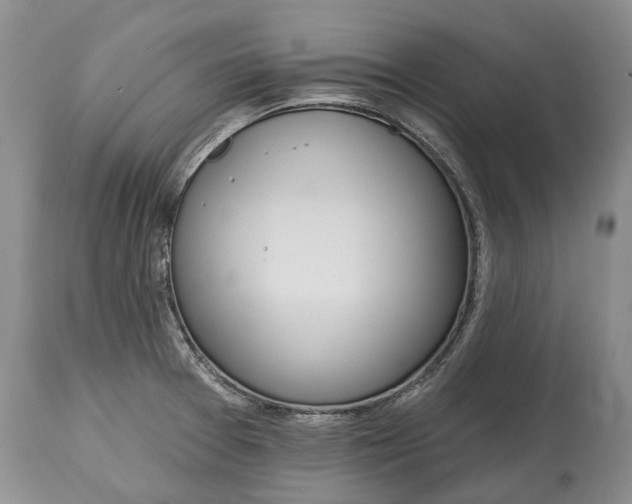 X0000114991377200911091325