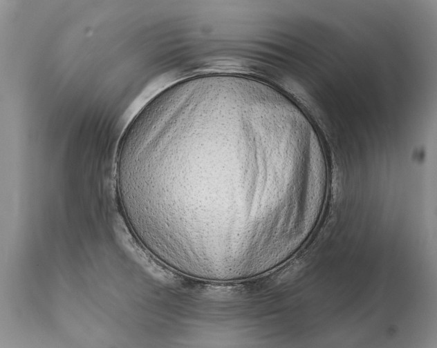 X0000114991378200911091325