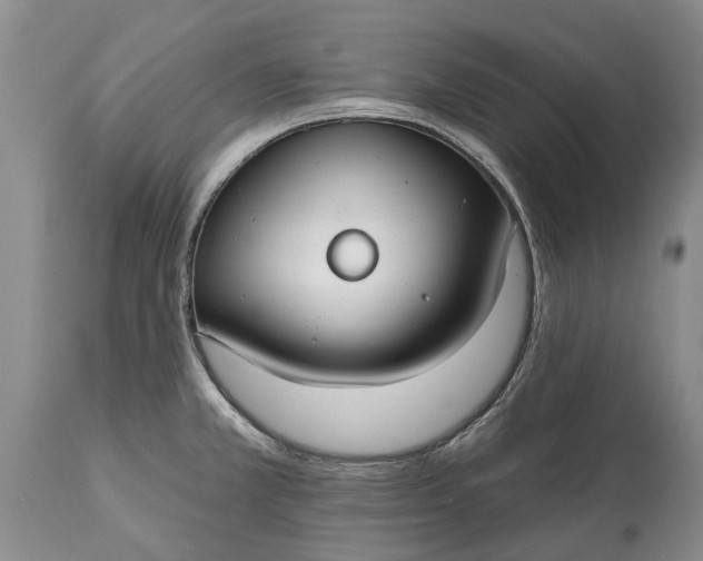 X0000114991381200911091325