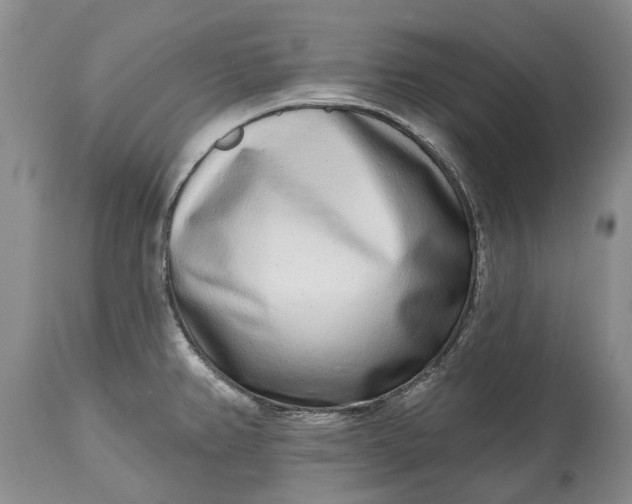 X0000114991382200911091325