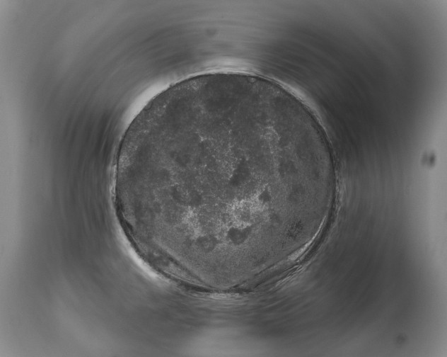 X0000114991383200911091325