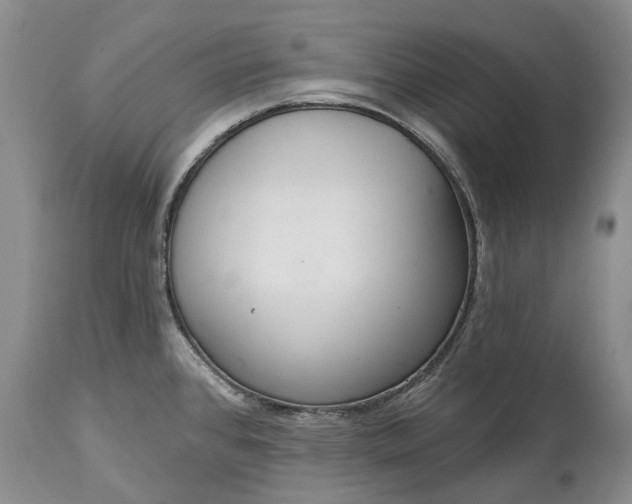 X0000114991384200911091325