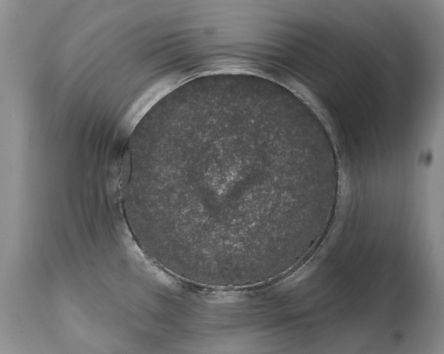 X0000114991385200911091325