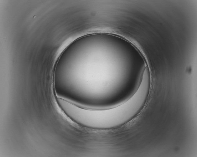 X0000114991389200911091325