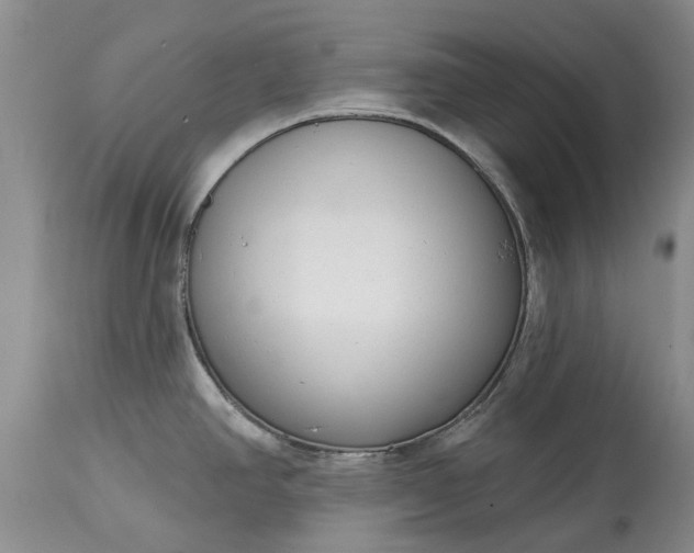 X0000114991390200911091325