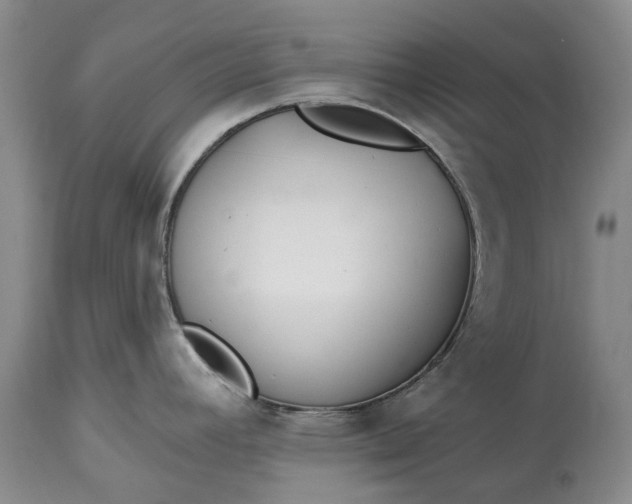 X0000114991392200911091324