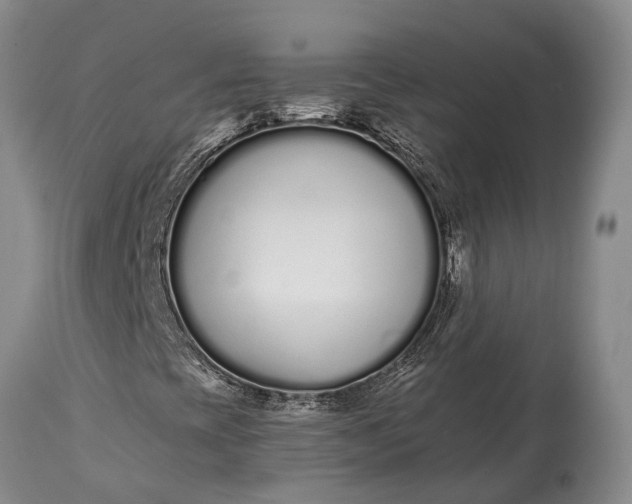 X0000114991393200911091324