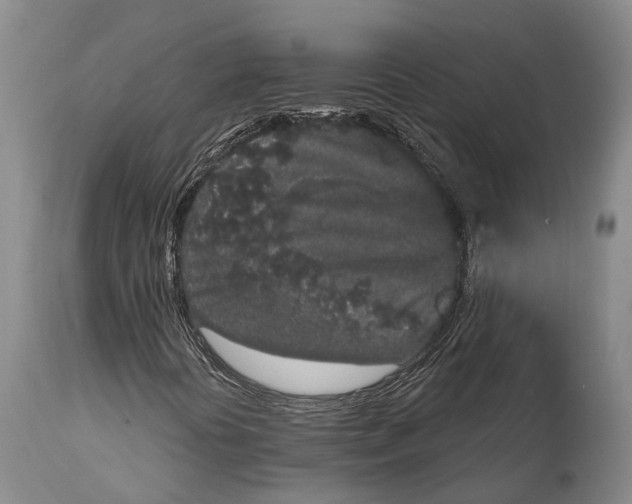 X0000114991394200911091324