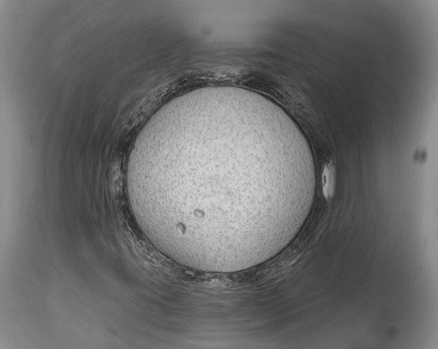 X0000114991395200911091324