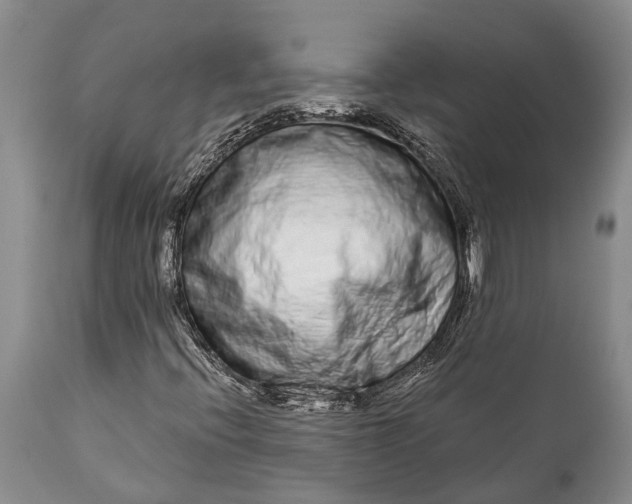 X0000114991396200911091324