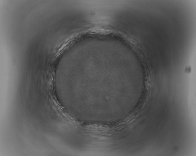 X0000114991397200911091324