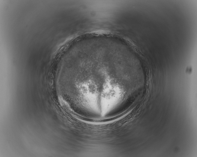 X0000114991398200911091324