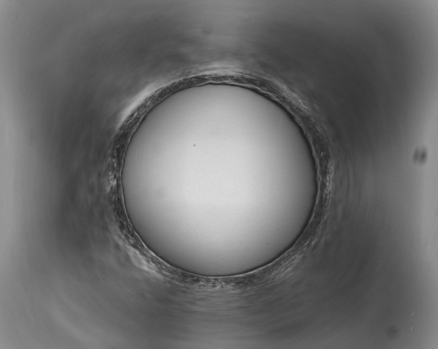 X0000114991400200911091324